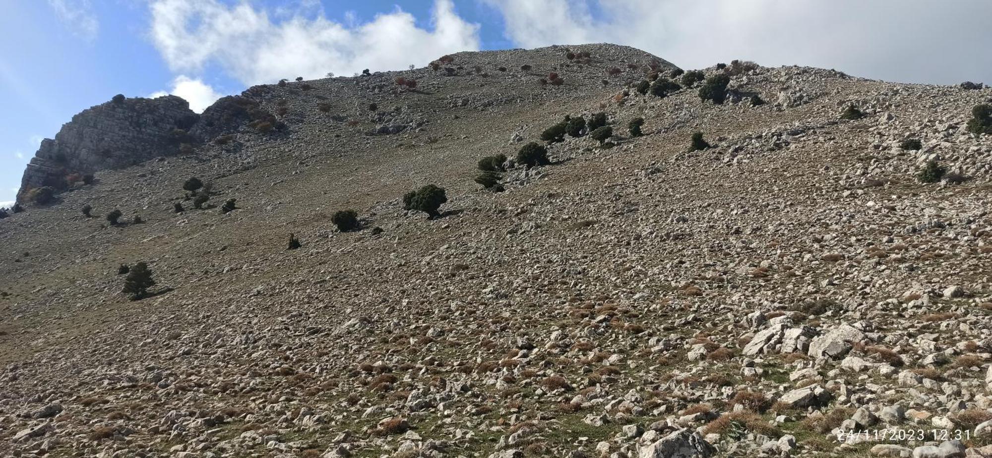 B&B Il Campanile Di Leone Pina San Lorenzo Bellizzi Luaran gambar